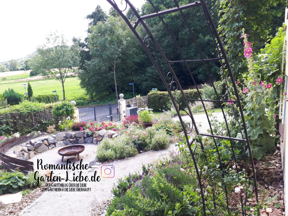 Der Gartenblog Romantische Garten Liebe ist das große Hobby von Jasmin Möser aus Kassel.